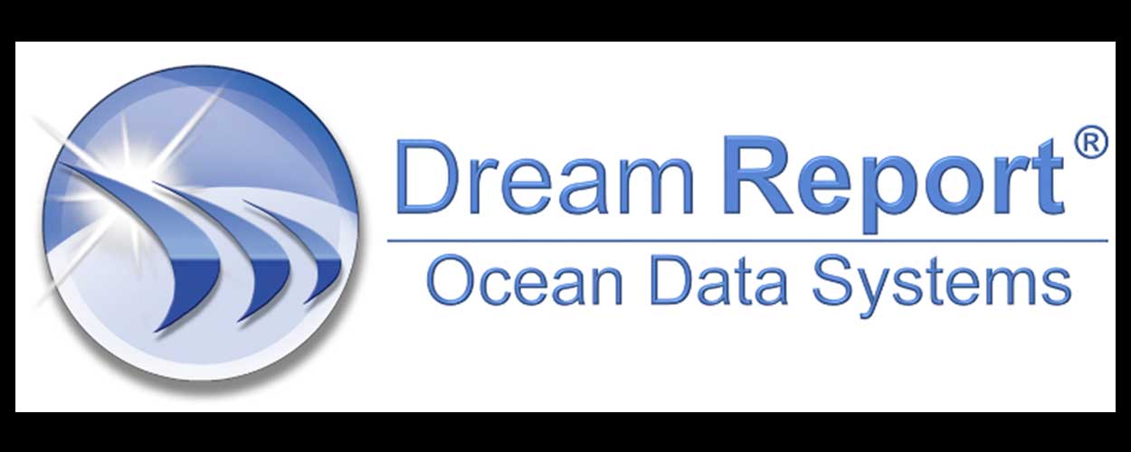 DreamReportsLogo DreamReportsLogo